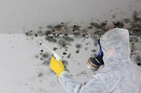  St Clair, PA Mold Remediation Pros